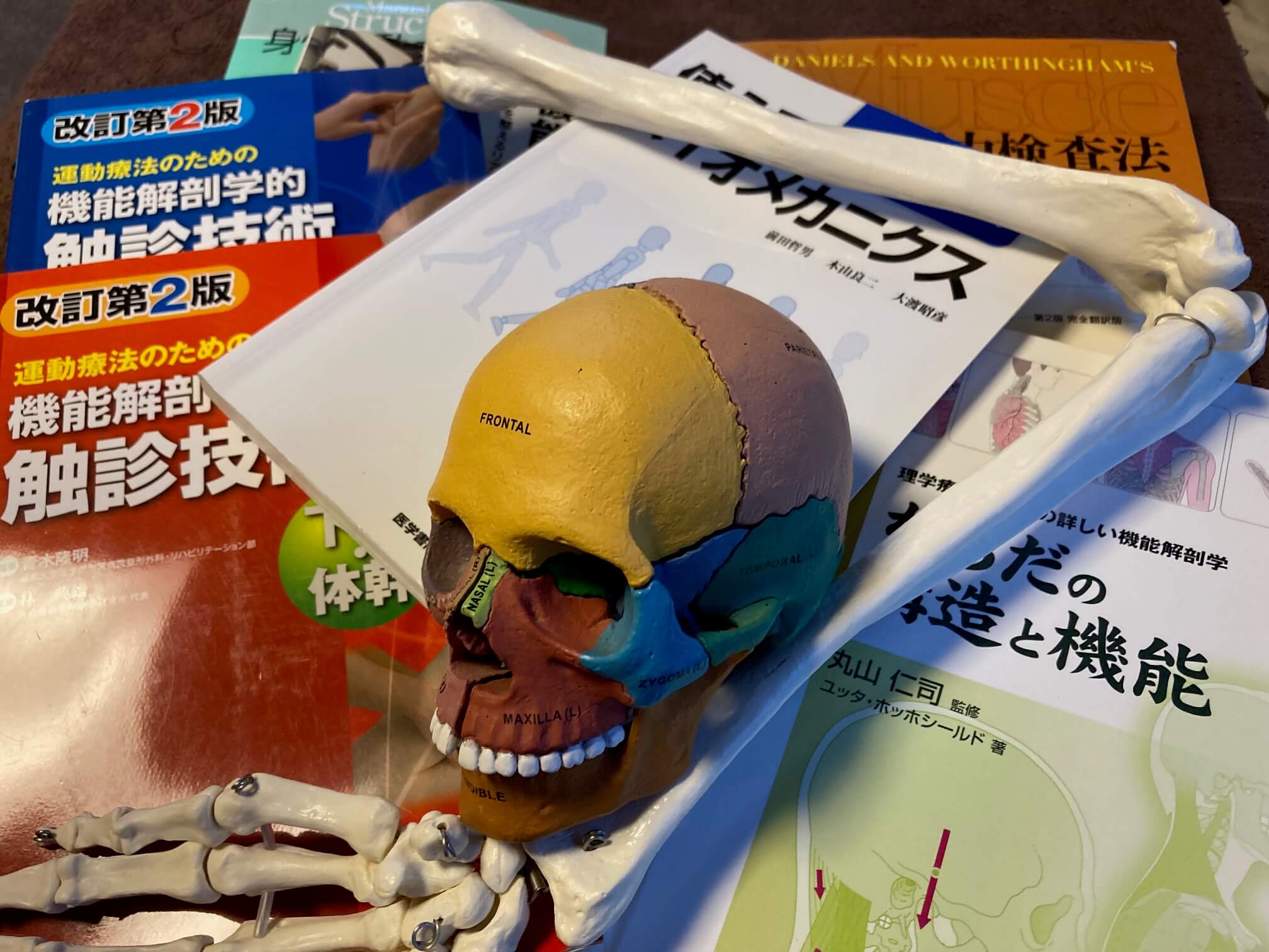 バイオメカニクス