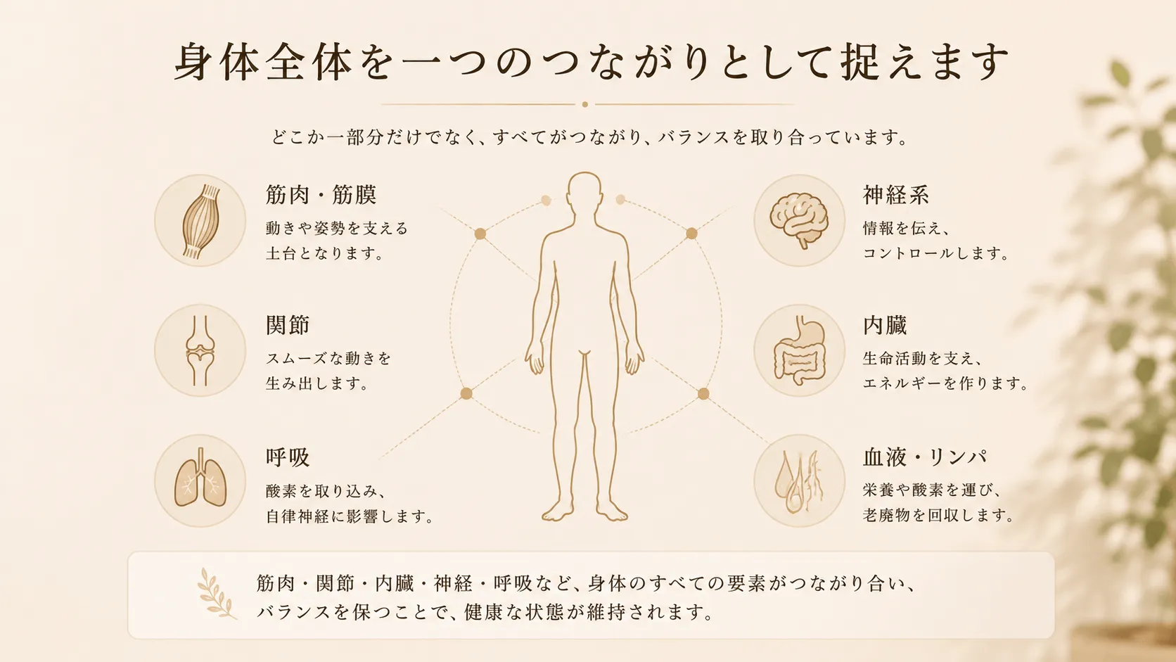 筋肉・関節・呼吸・神経・内臓など身体全体のつながりを説明する図